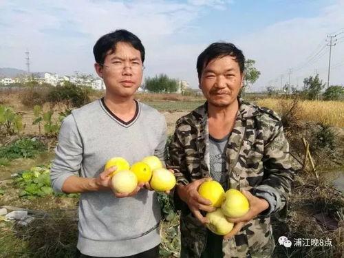吃瓜群众澄城,吃瓜群众眼中的风云变幻