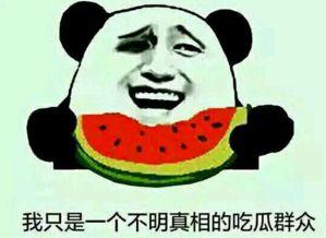 需要减肥了吃瓜群众,轻松瘦身，健康生活新起点