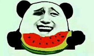 我感觉我是个吃瓜群众,我是吃瓜群众的日常