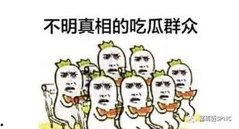 吃瓜群众看企鹅图片搞笑,萌化你的每一天！