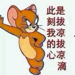 发张照片吃瓜群众,跟随吃瓜群众探寻美食背后的故事