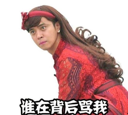 吃瓜群众小猪表情包动态,萌态十足，笑料百出