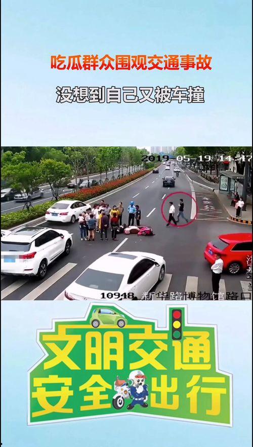 车祸吃瓜群众被撞怎么办,紧急应对指南揭秘