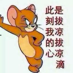 英俊的吃瓜群众图片高清,英俊吃瓜群众的风采瞬间