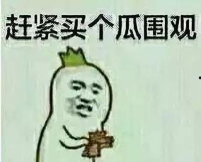 吃瓜群众意大利,瓜田里的风情万种