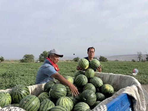 吃瓜群众吃瓜磐安宝龙广场,吃瓜群众的热闹聚集地