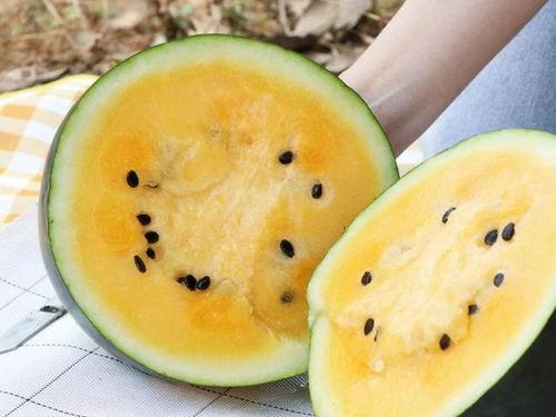 吃瓜群众减肥餐图片,健康美味两不误的瘦身秘籍