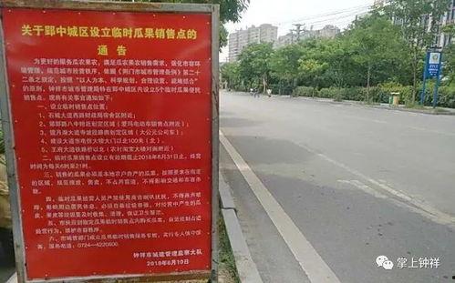 钟祥吃瓜群众,揭秘当地热点事件背后的故事