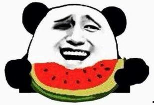 吃瓜群众星爷,吃瓜群众的娱乐盛宴