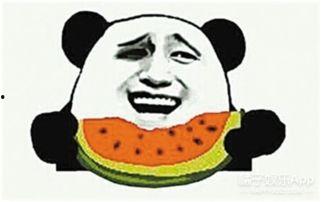 吃瓜群众9个粉丝视频,揭秘热门话题背后的真相