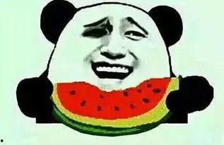 吃瓜群众李小花