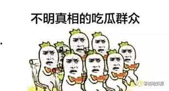 吃瓜群众会干什么事情呢,揭秘他们的娱乐生活与社交动态
