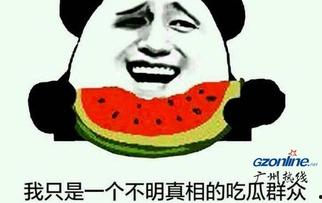 第一个吃瓜群众什么意思