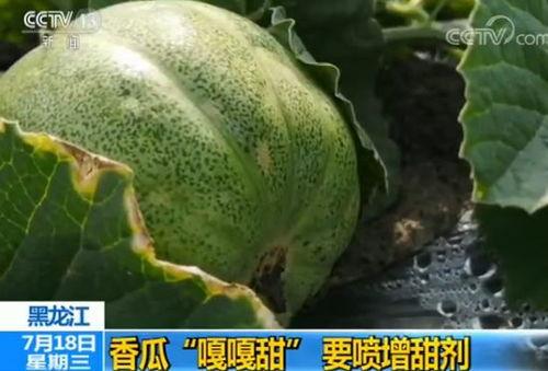 吃瓜群众请注意事项,围观事件时的自我保护指南