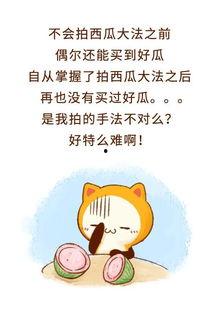 吃瓜群众被拒绝怎么办呢,吃瓜群众如何应对？