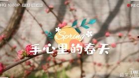 我们是认真的吃瓜群众吗,我们究竟是不是认真的吃瓜群众？