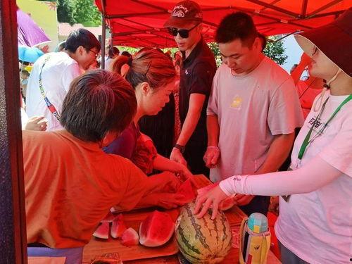 武平吃瓜群众视频播放时间,揭秘热门视频背后的观看热潮