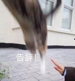 吃瓜群众中的女主角叫什么