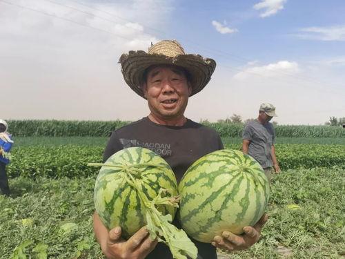 吃瓜群众甘肃,吃瓜群众眼中的魅力之地