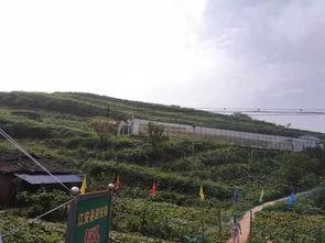 江山市吃瓜群众事件,网络舆论风波背后的真相探寻