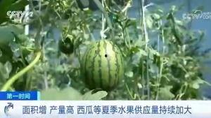 思南吃瓜群众,吃瓜群众的热议焦点