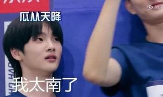 吃瓜群众周震南,吃瓜群众眼中的娱乐圈风云人物