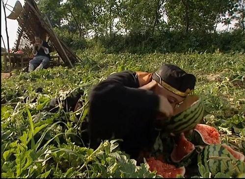 吃瓜群众生活号,带你领略网络世界的趣味与真相