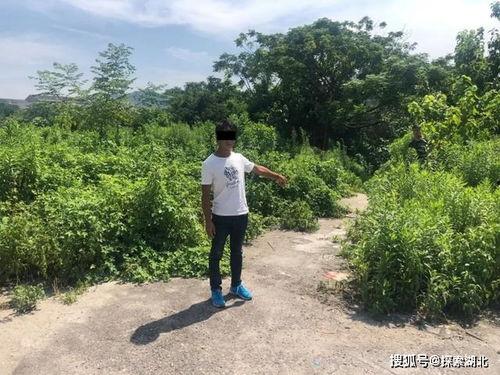 吃瓜群众酒驾被拘留了吗,警示酒后驾驶危害