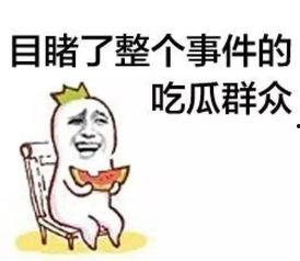 野餐兔被吃瓜群众认出