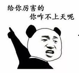 抱拳握手强敲打吃瓜群众,一场别开生面的互动盛宴