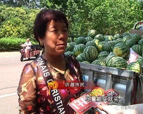 星云吃瓜群众完整版,揭秘娱乐圈幕后风云